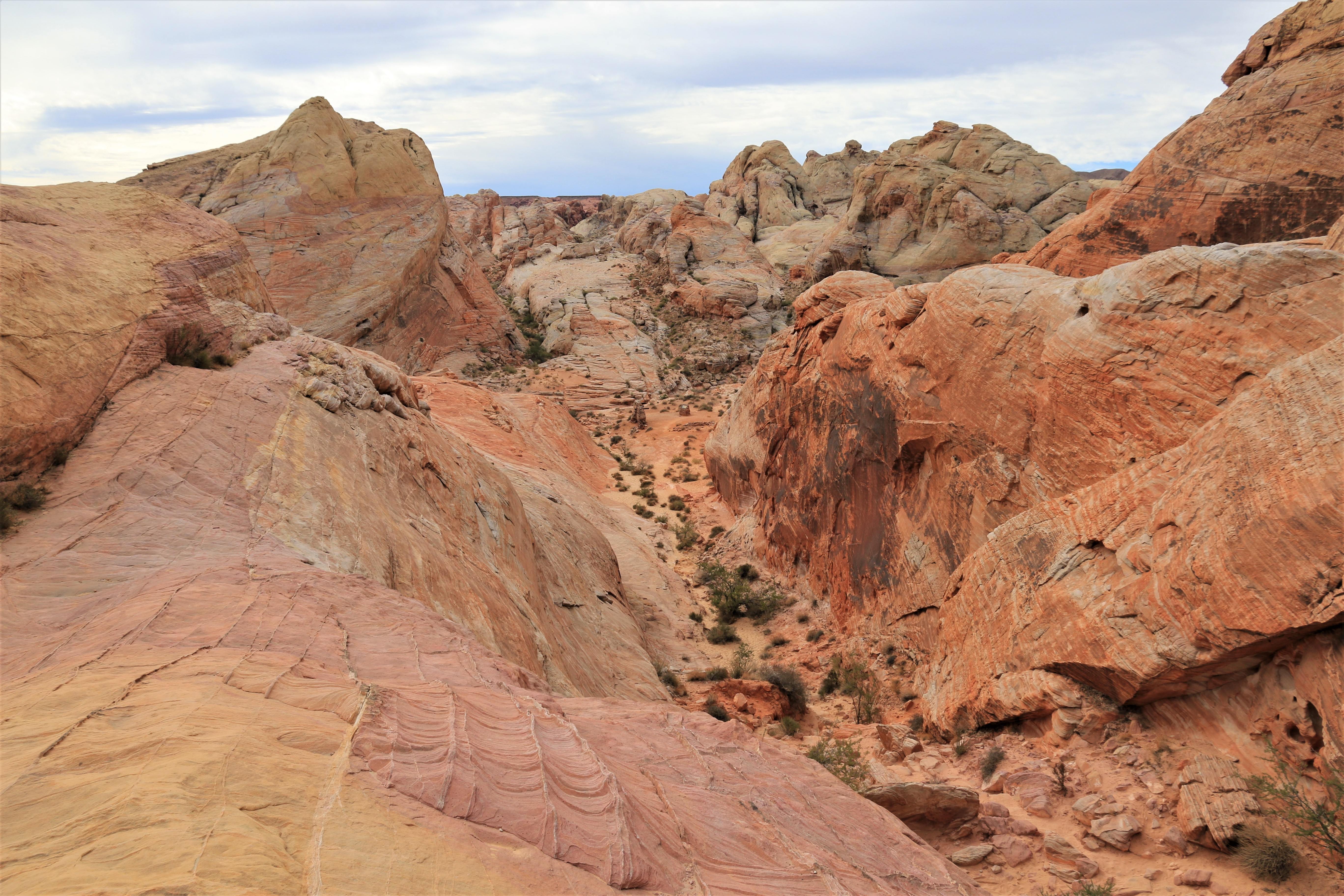 Nevada